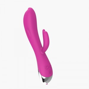 Vibrador Dolphin 6 Funciones USB Rosa