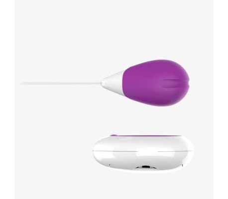 Huevo Vibrador con Control Remoto USB Púrpura