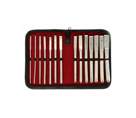 Set de Dilatadores de Uretra 14 piezas