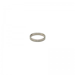 Anillo de Acero para el Pene