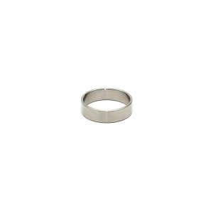 Anillo Acero para el Pene