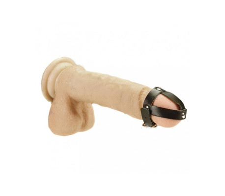 Arnés para Pene Ajustable