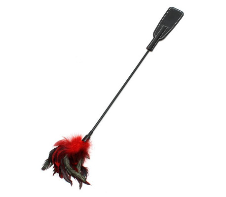 Pala y Plumas Estimuladoras 2 en 1