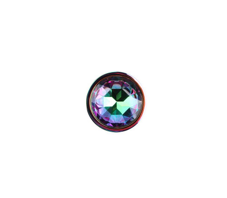 Plug Anal de Metal con Joya Circular 2.7