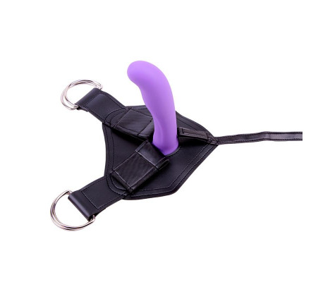 Arnés y Dildo Amor