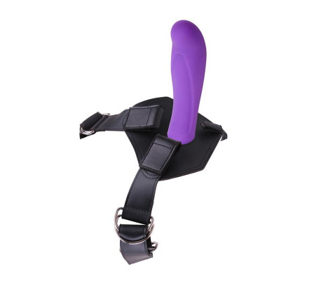 Arnés y Dildo Amor