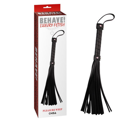 Flogger Pleasure