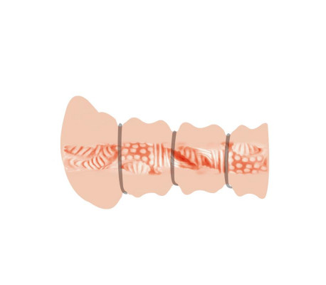 Rossi Masturbador Vagina 3D