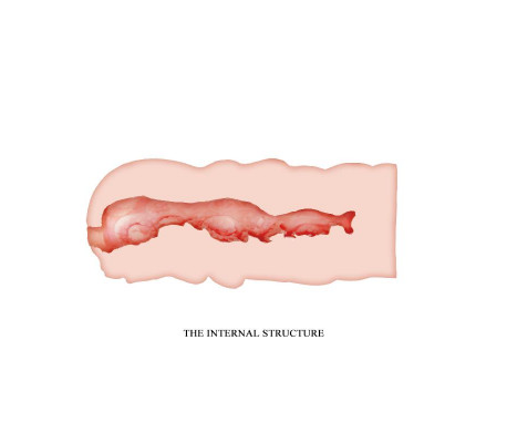 Isabel Masturbador Vagina Fresh Surface