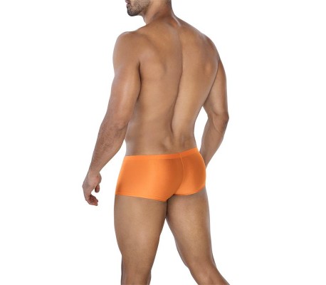 C4MSPX13 Calzoncillo Hipster Copper Spring