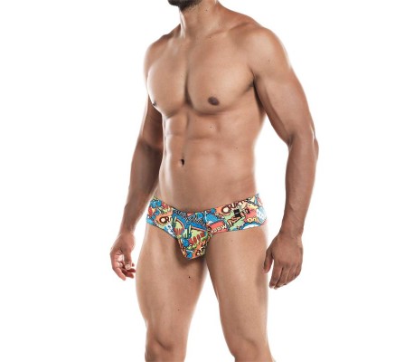 Cheeky Brief Provocative Cartoon