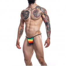 C4M12 Briefkini Arcoiris Rainbow