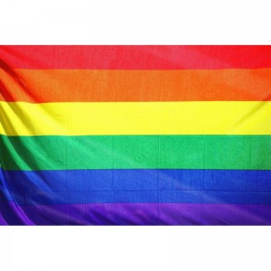 Bandera Orgullo LGBT 90 cm