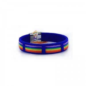 Pulsera 6 Hilos Bandera LGBT+