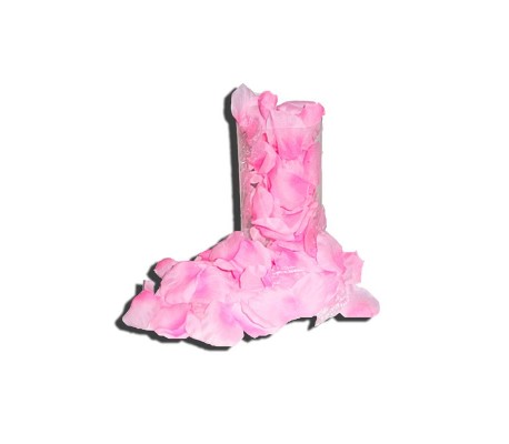 Pétalos de Rosa 120 Unidades Color Rosa