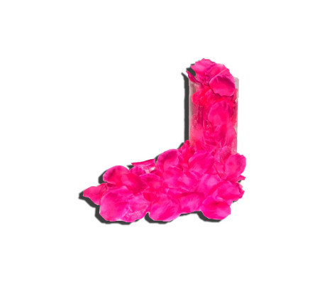 Pétalos de Rosa 120 Unidades Color Púrpura