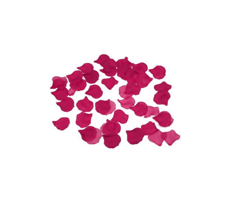 100 Pétalos Color Fúcsia