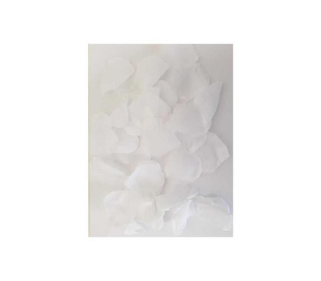 100 Pétalos  Color Blanco