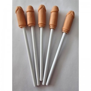 5 Lapices con Punta de Pene