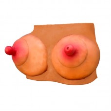 Hucha Forma de Pechos
