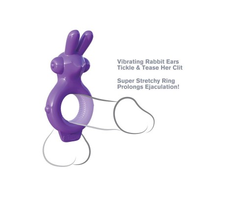 Anillo Ultimate Rabbit Púrpura