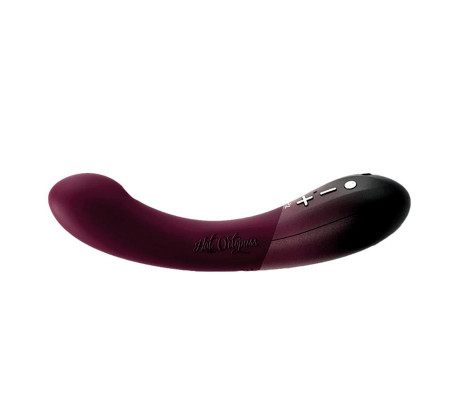 Vibrador de Bajos y Altos 2 Motores Kurve