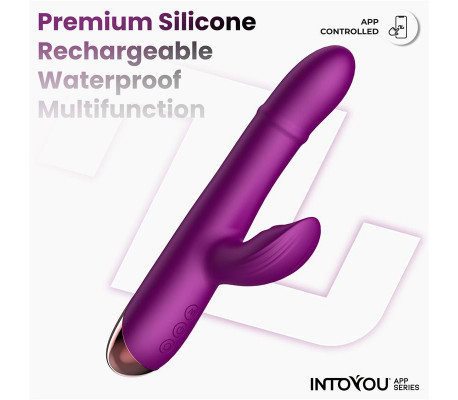 Sendel Vibrador con Anillo de Bolas Internas Up and Down y Pulsación con App