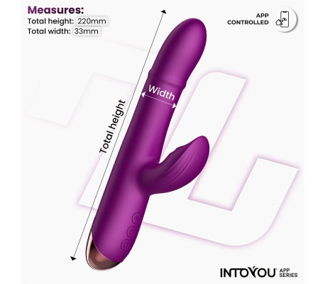 Sendel Vibrador con Anillo de Bolas Internas Up and Down y Pulsación con App