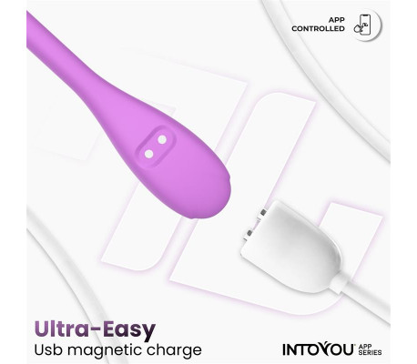 Logan Huevo Vibrador con APP Unibody Púrpura