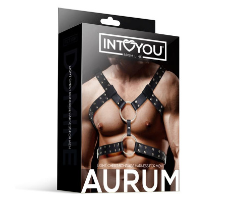 Aurum Arnés Masculino para Bondage Cuero Vegano