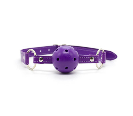 Set Bondage de 10 Piezas Púrpura