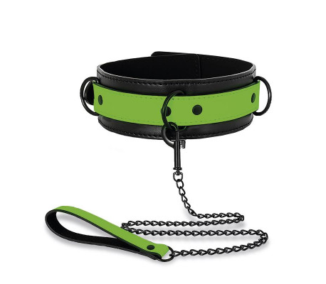Collar con Correa que Brilla en la Oscuridad