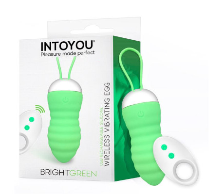Brightgreen Huevo Vibrador Control Remoto USB Silicona