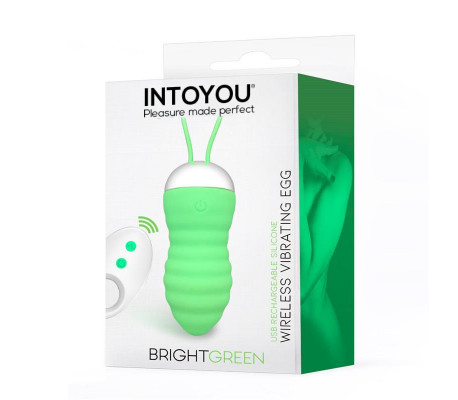 Brightgreen Huevo Vibrador Control Remoto USB Silicona