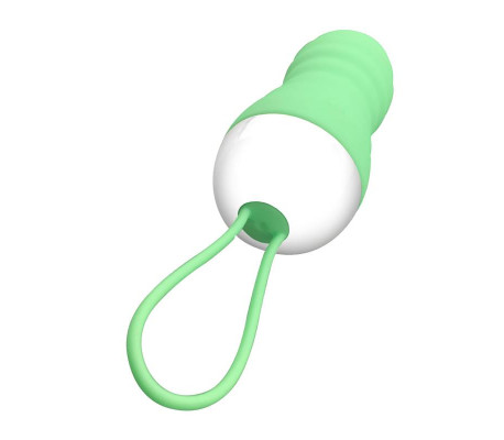 Brightgreen Huevo Vibrador Control Remoto USB Silicona