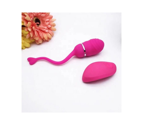 Huevo Vibrador Control Remoto Odise USB Silicona Rosa