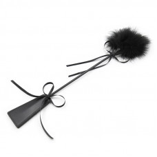 Plumero y Fusta 2 en 1 49 cm Negro