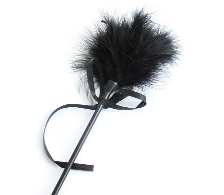 Plumero y Fusta 2 en 1 49 cm Negro