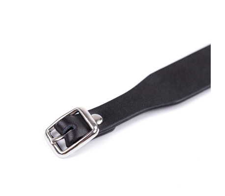 Collar Ajustable 43 cm Negro