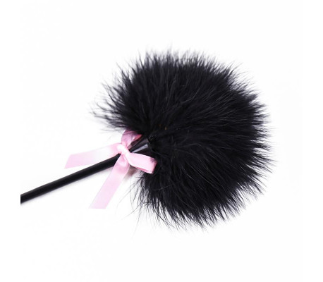 Plumero y Pala 2 en 1 29 cm Negro