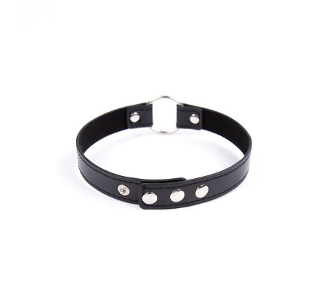 Collar con Aro Ajustable 38,2 cm Negro