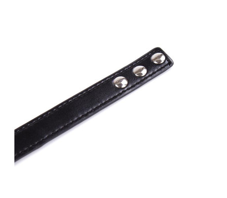 Collar con Aro Ajustable 38,2 cm Negro