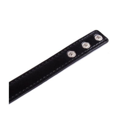 Collar con Aro Ajustable 38,2 cm Negro