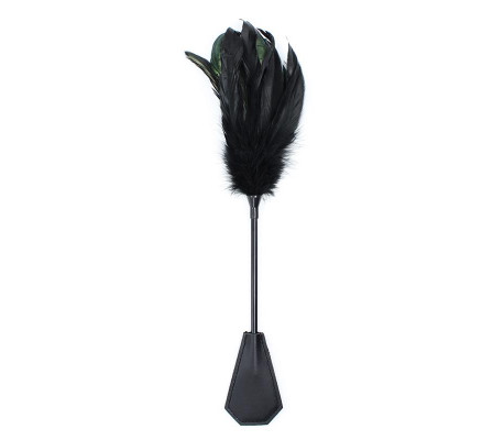 Plumero y Pala 2 en 1 48 cm Negro