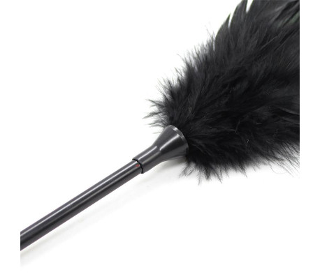 Plumero y Pala 2 en 1 48 cm Negro