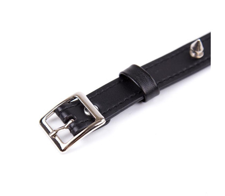 Collar con Pinchos Ajustable 43 cm Negro
