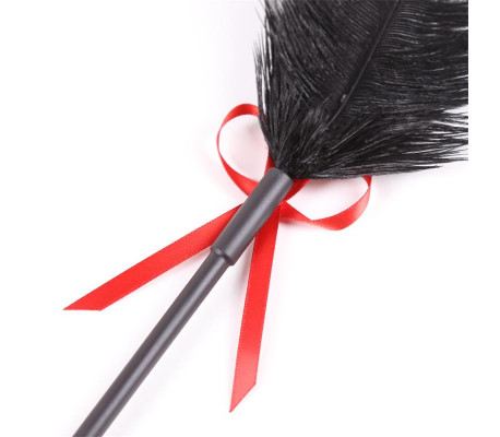 Plumas y Pala 2 en 1 36 cm Negro/Rojo