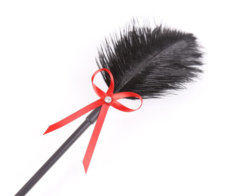 Plumas y Pala 2 en 1 36 cm Negro/Rojo