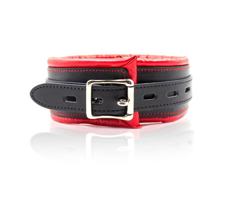 Collar con Correa de Metal e Interior Acolchado Negro/Rojo