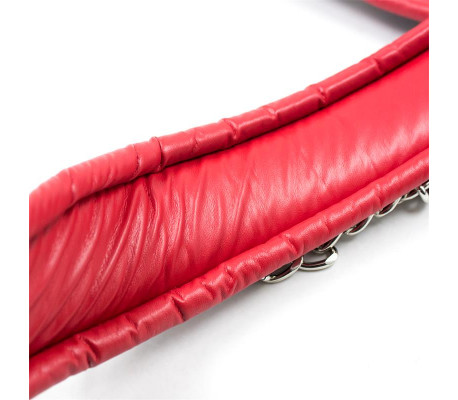 Collar con Correa de Metal e Interior Acolchado Negro/Rojo